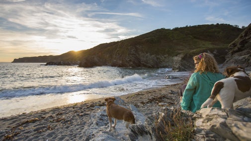 A visitor with two dogs enjoying the sunset on the beach at Lansallos, Cornwall